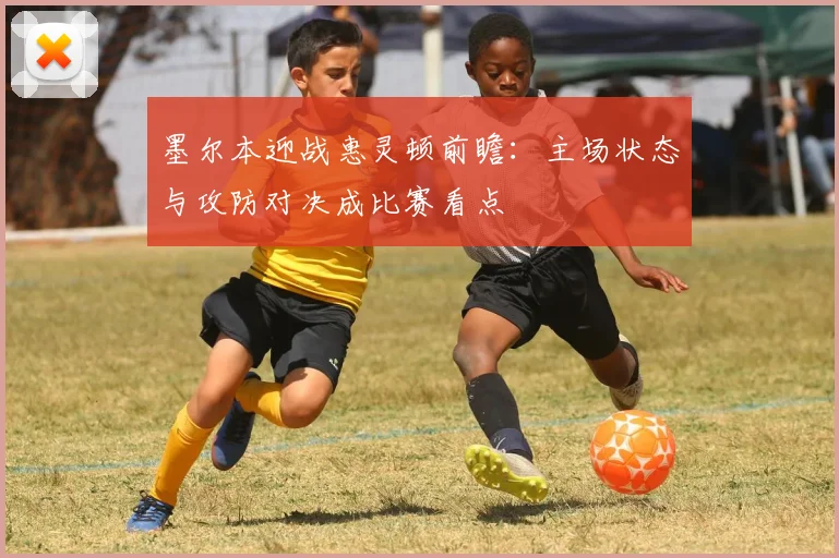 墨尔本迎战惠灵顿前瞻：主场状态与攻防对决成比赛看点